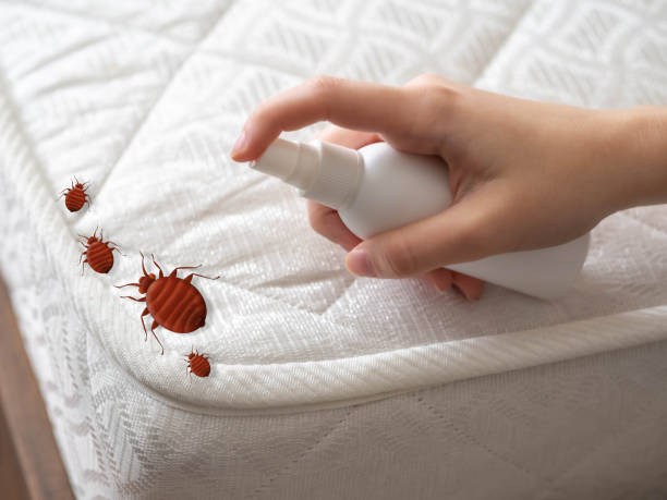 Best Commercial Pest Control Services  in Chevy Chase View, MD